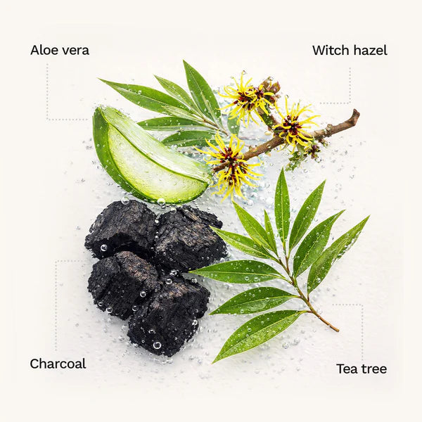 Bamboo Charcoal Nose Strips (3N)