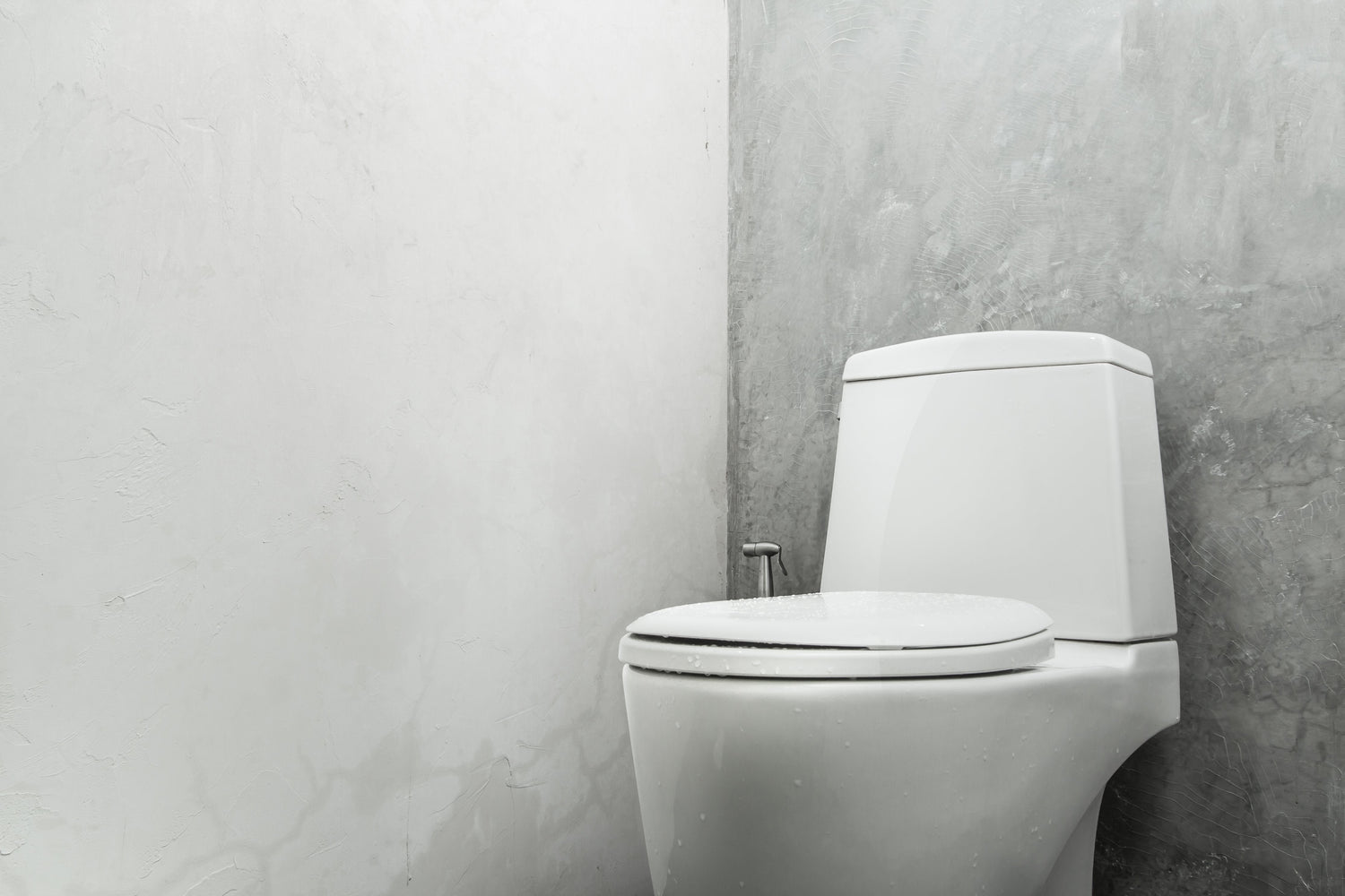 How to Keep Germs at Bay & Disinfect the Toilet Seat-PeeSafe